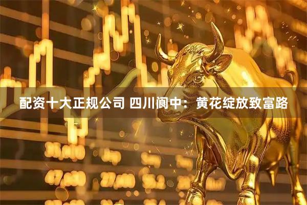 配资十大正规公司 四川阆中：黄花绽放致富路